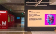 aerodromio momus VIDEO WALL P1,56 COB